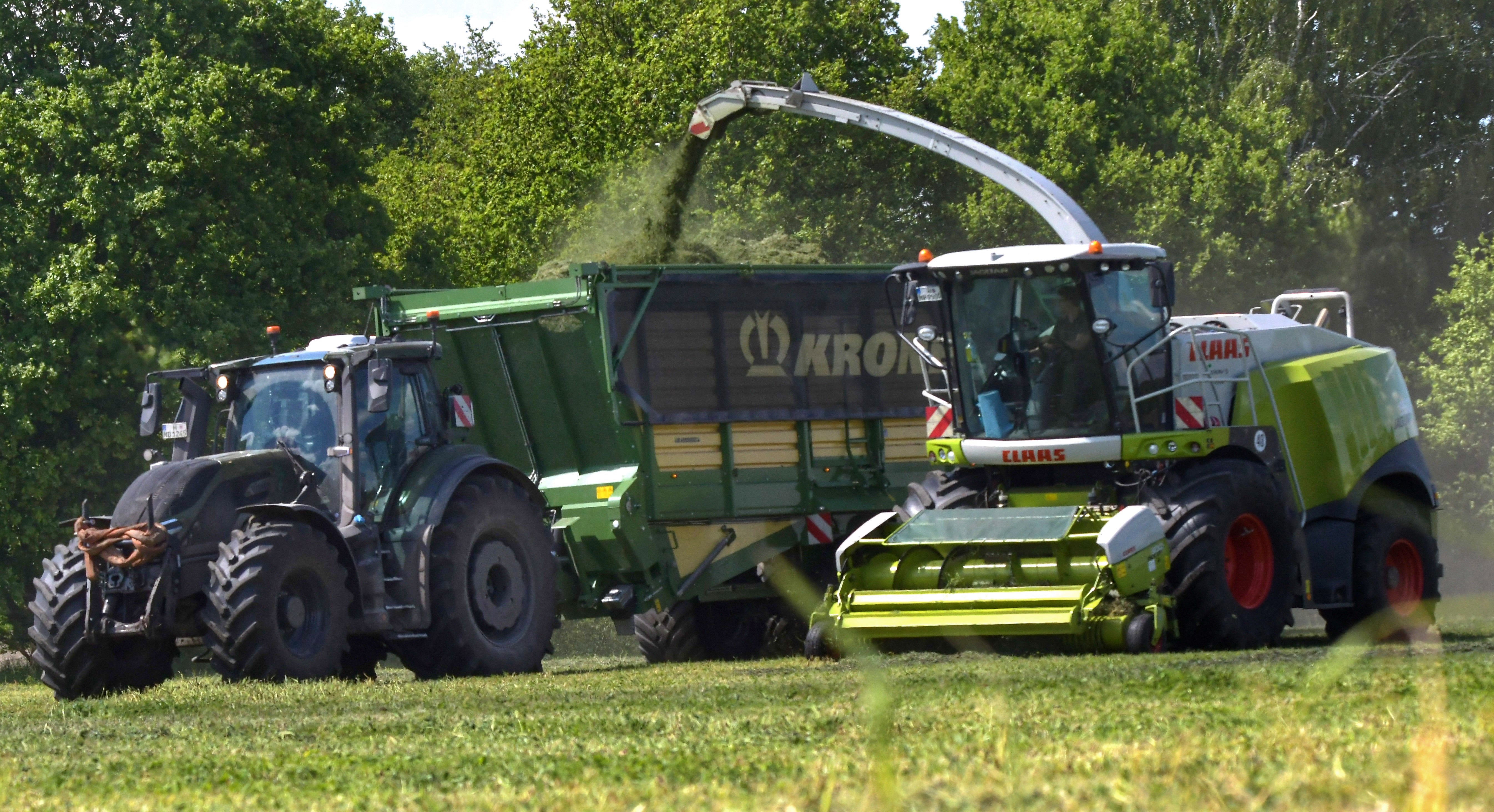 Agrardienstleistungen_Gras_Häckseln_Silo_Grass_Lohndienstleistungen